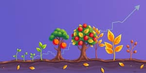 Dominando o Ciclo de Mercado: Lucros em Todas as Fases