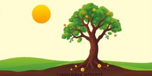 Os Ganhos Silenciosos dos Investimentos de Longo Prazo