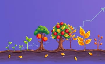 Dominando o Ciclo de Mercado: Lucros em Todas as Fases